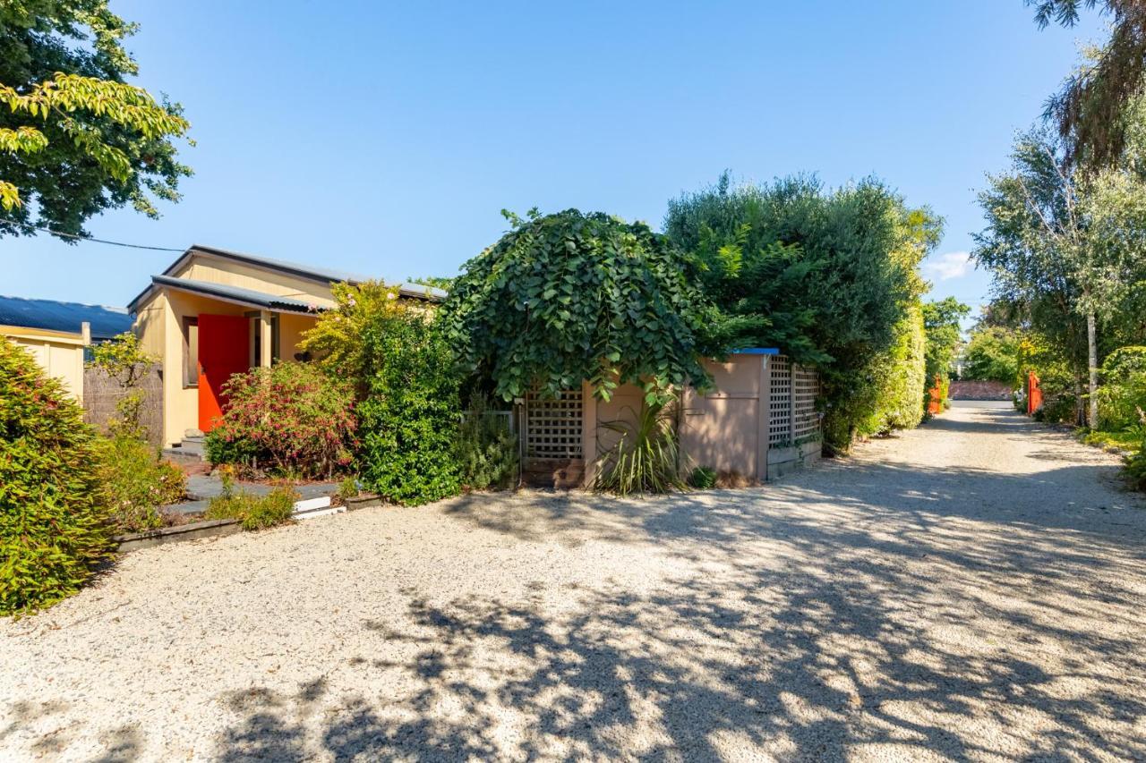 Shy Cottage&Studio Greytown Exteriör bild