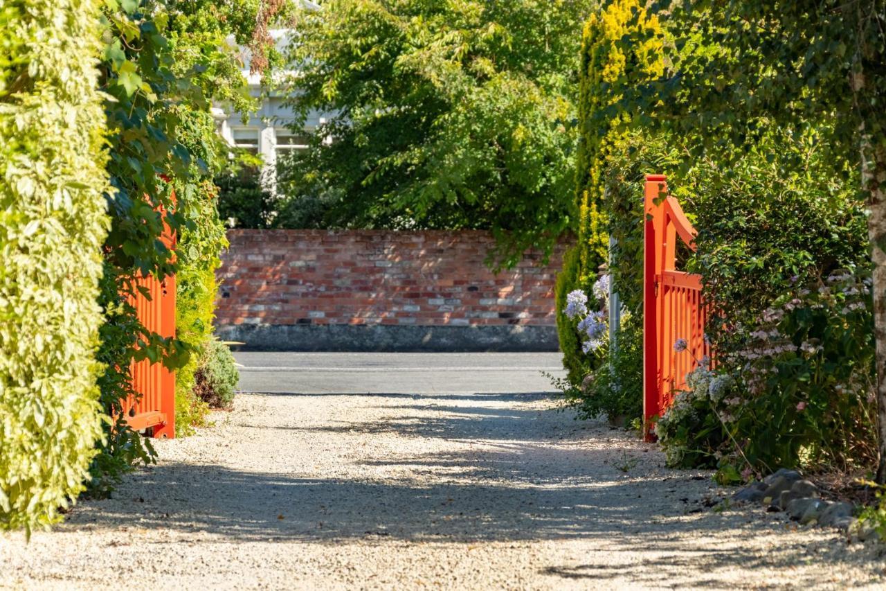 Shy Cottage&Studio Greytown Exteriör bild