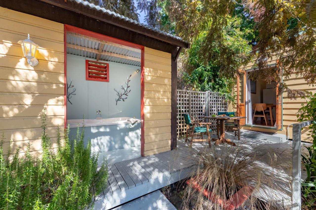 Shy Cottage&Studio Greytown Exteriör bild