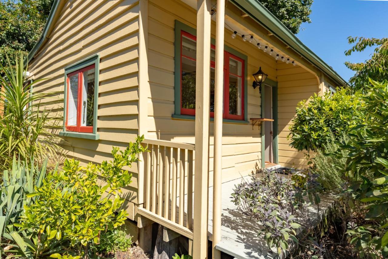 Shy Cottage&Studio Greytown Exteriör bild