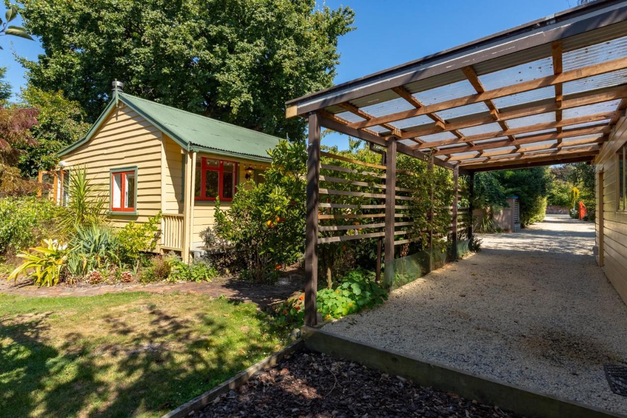 Shy Cottage&Studio Greytown Exteriör bild