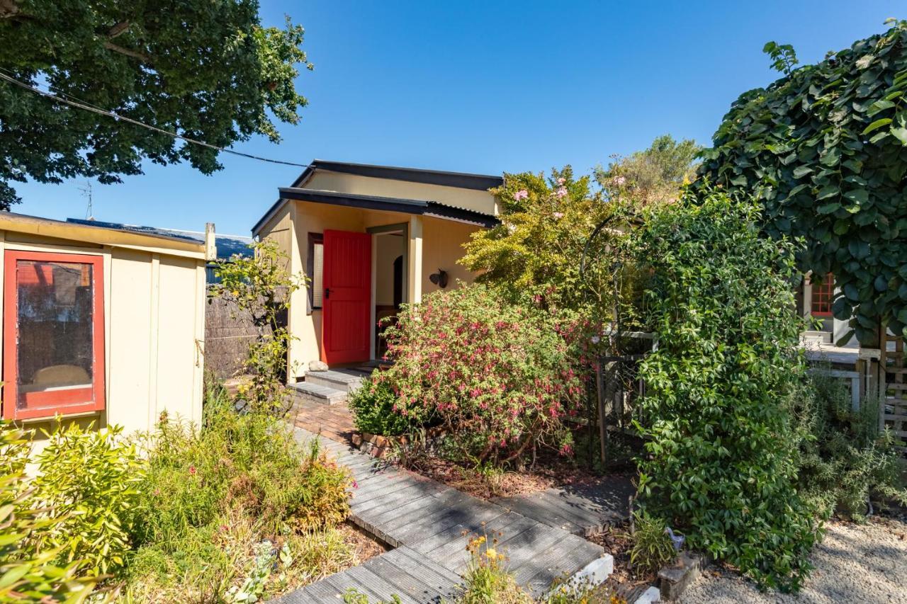 Shy Cottage&Studio Greytown Exteriör bild